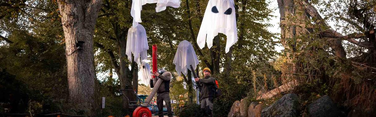 Halloween i Aalborg Zoo