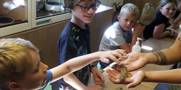 Børn får sanseoplevelser i Aalborg Zooskole