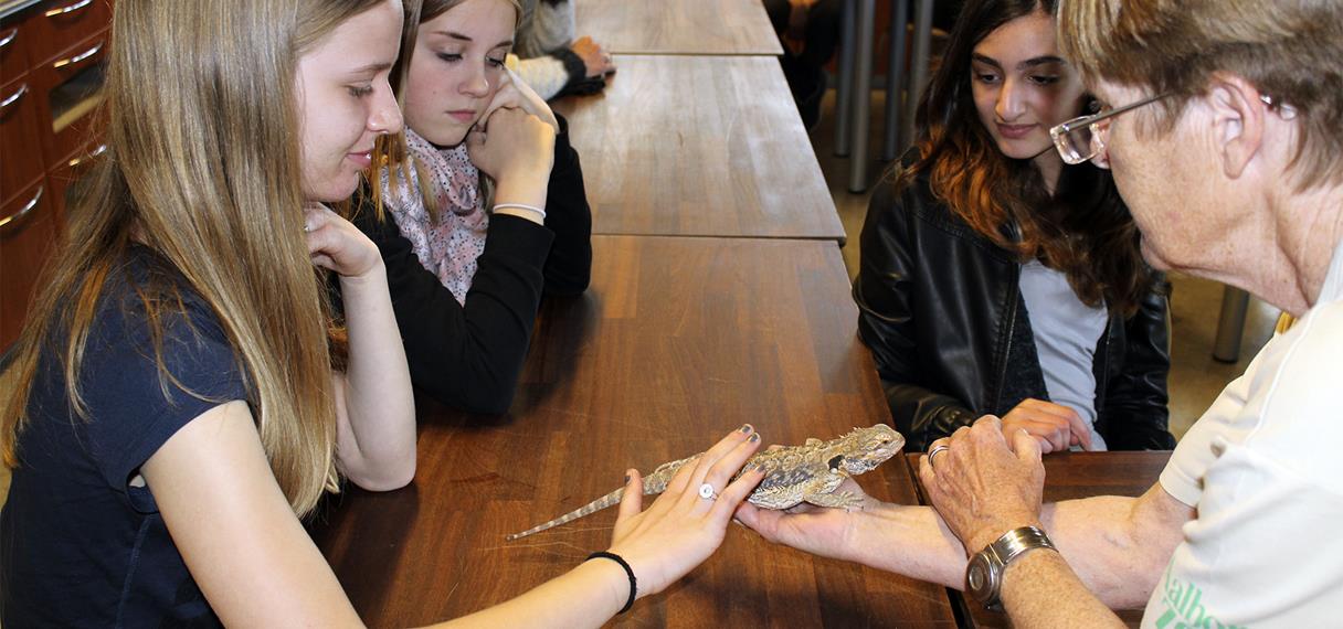 Børn føler på en gekko i Skoletjenesten
