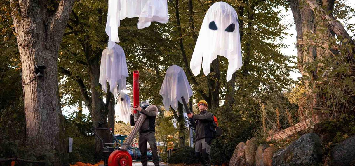 Halloween-spøgelser i Aalborg Zoo